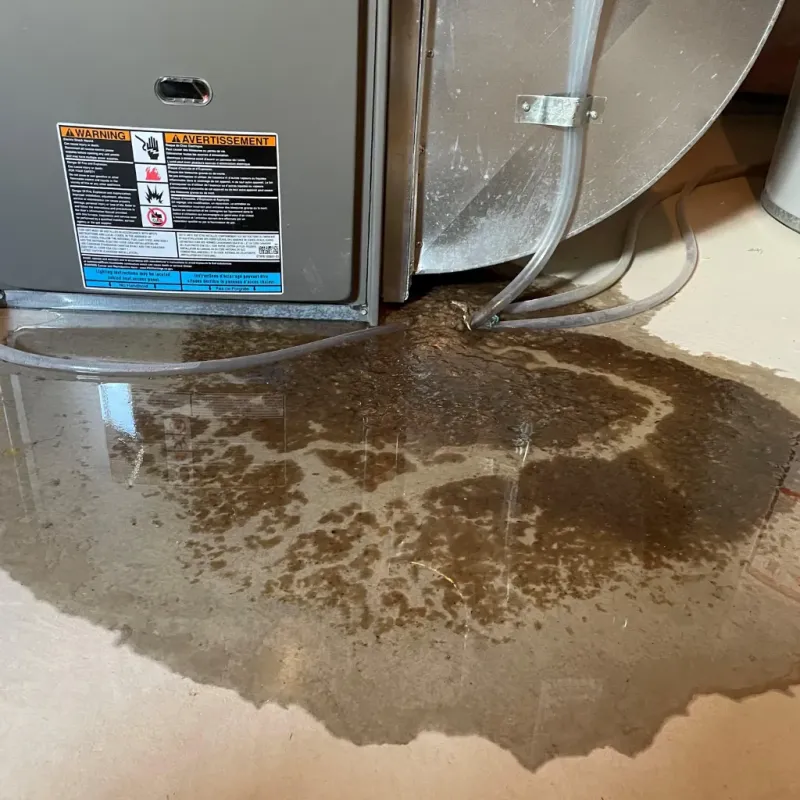 Appliance Leak Cleanup in Bridgeton, NJ